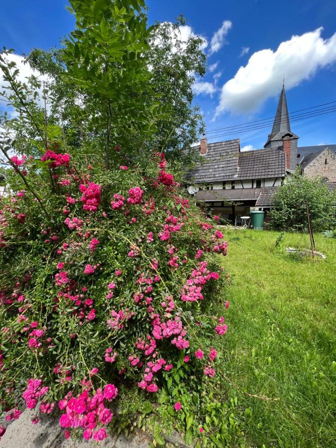 300 Jahre Altes Renoviertes Fachwerkhaus Villa Peterslahr Eksteriør billede