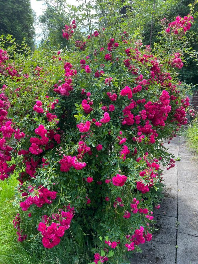 300 Jahre Altes Renoviertes Fachwerkhaus Villa Peterslahr Eksteriør billede